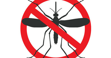 Лаврицидная обработка- основной метод борьбы с комарами, источниками и переносчиками инфекции в зоне действующих природных очагов